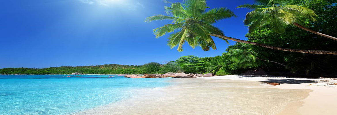 summer